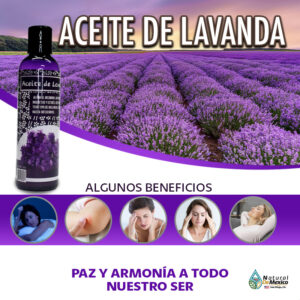 Aceite de Lavanda Combatir el acné gracias a sus propiedades antisépticas, ayuda a combatir las bacterias que causan las erupciones faciales.