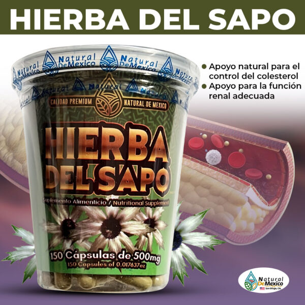 Hierba de Sapo Esta Hierba contiene una gran cantidad de antioxidantes que ayudan a prevenir el daño celular y ayuda a regular el colesterol.